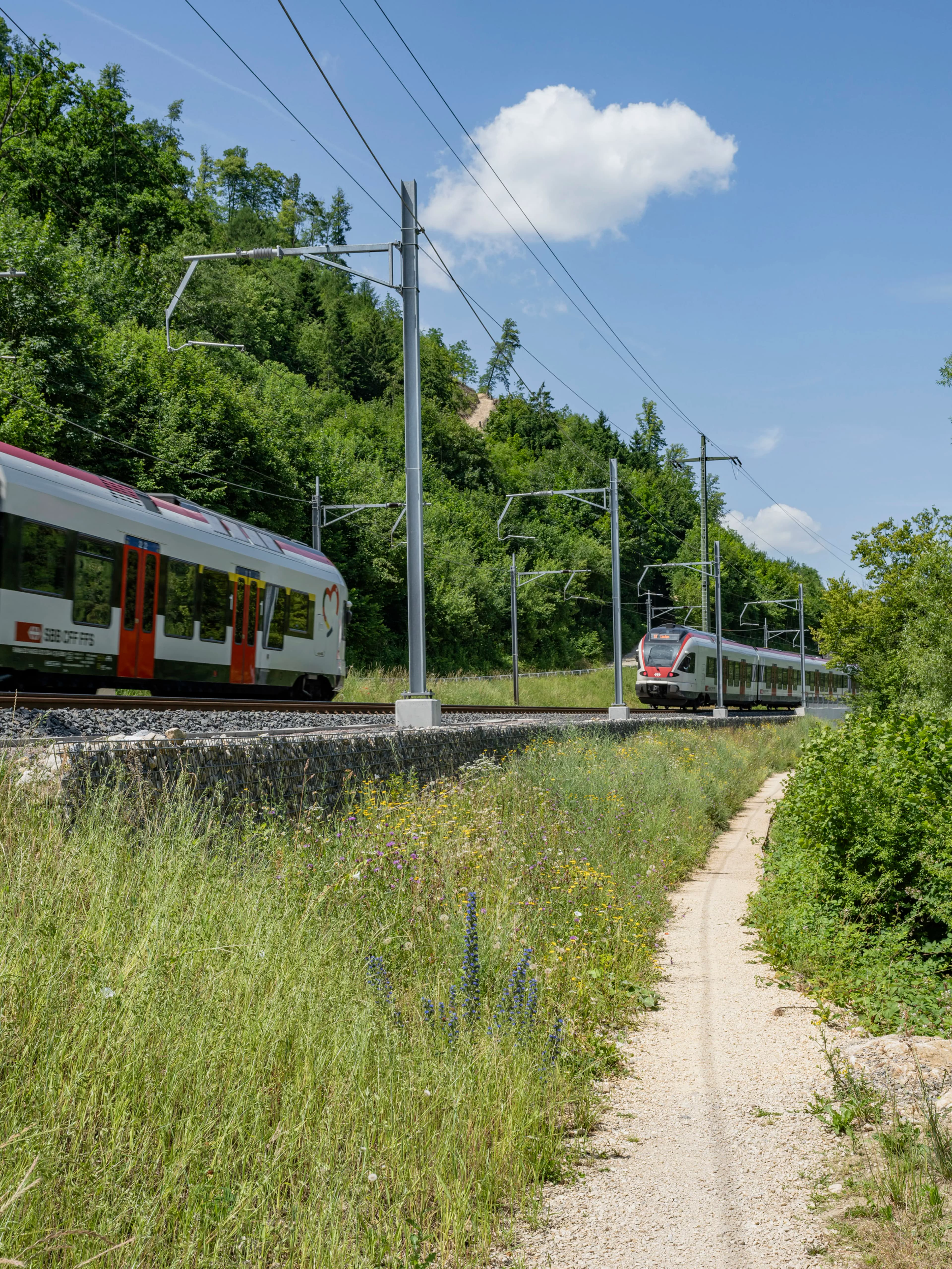 planikum AG Landschaftsarchitektur und Umweltplanung — Gärtner in Zürich (Bild 3)