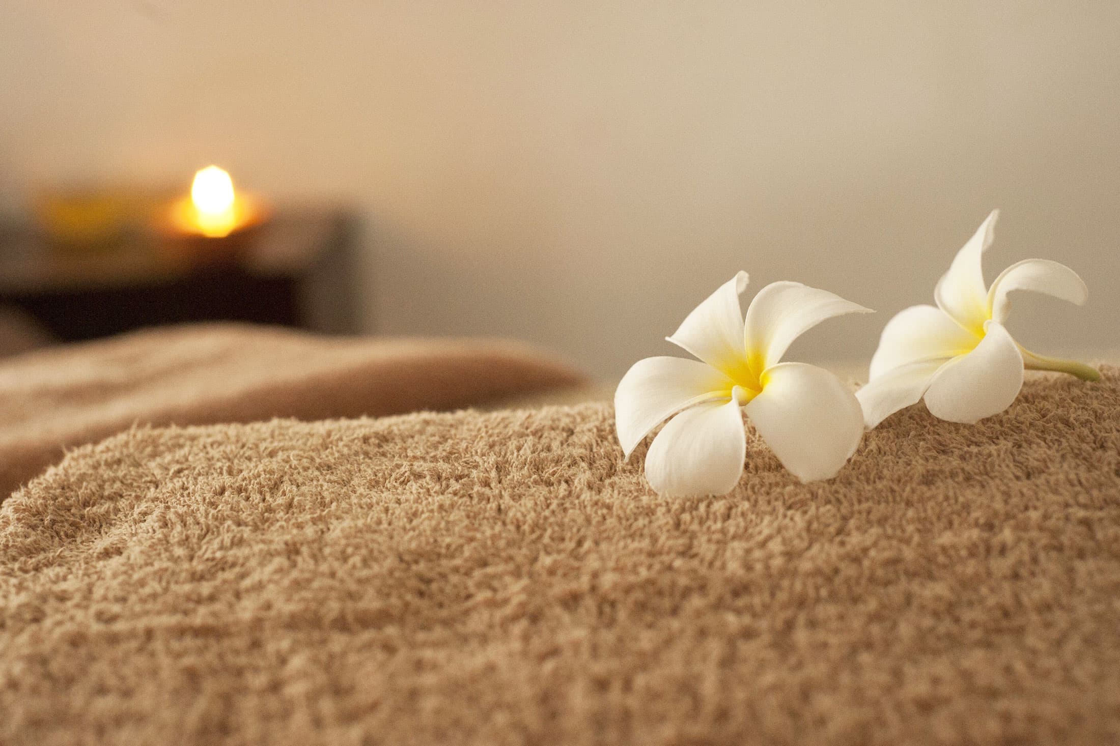 Lotus Thai Spa & Massage Jutarat Munsuk — Massage in Zürich (Bild 3)