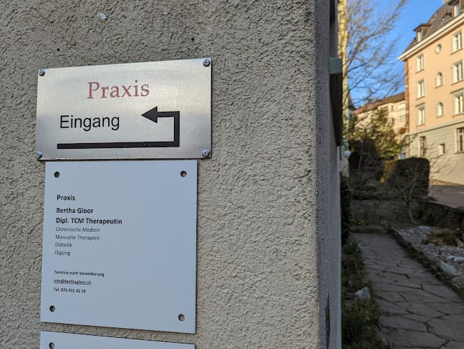 TCM Therapeutin Bertha Gloor — Naturheilpraktiker in Zürich