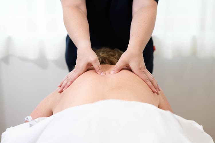 Physiotherapists