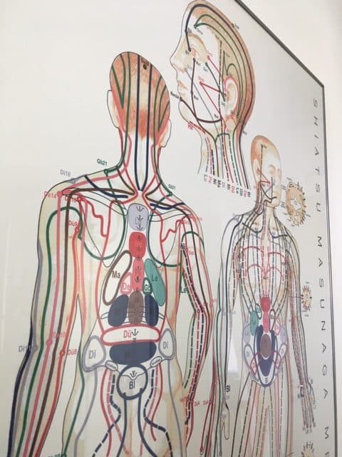 Shiatsu Praxis Brigitte Lamprecht — Massage in Winterthur (Bild 3)