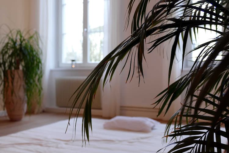 Shiatsu Praxis Rahel Huber — Massage in Winterthur