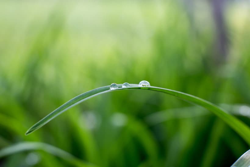 Odorata - Massage und Aromatherapie — Massage in Winterthur (Bild 3)