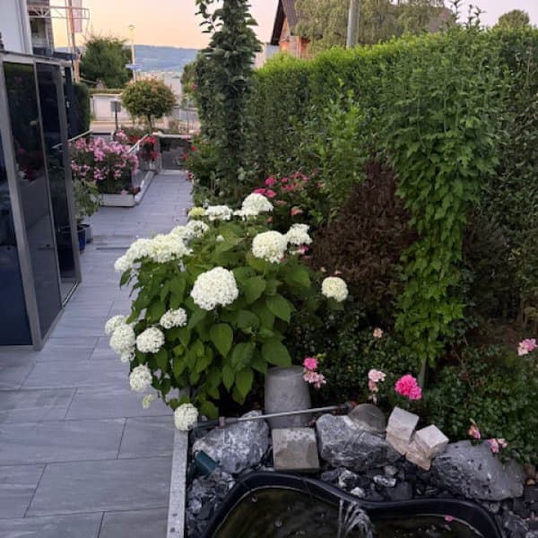Zürichsee Garten - Gashi — Gärtner in Horgen (Bild 2)