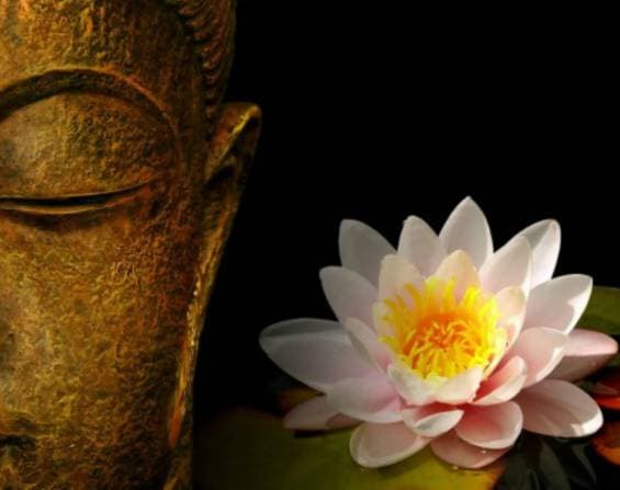 Ruennakhon Thai Massage — Massage in Wetzikon (Bild 2)