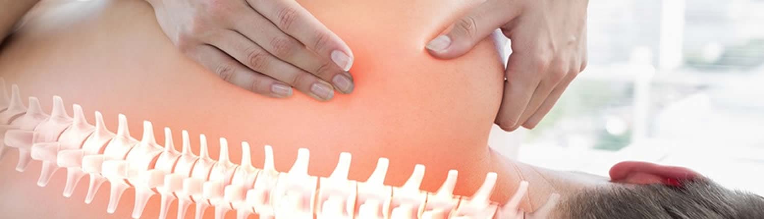 Gesundheitspraxis Terramed — Naturheilpraktiker in Wetzikon (Bild 3)