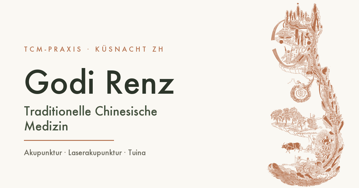 Praxis für Traditionelle Chinesische Medizin Godi Renz GmbH — Naturheilpraktiker in Küsnacht (Bild 2)