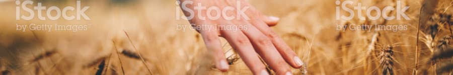 Praxis Zürich, Craniosacral Therapie, Shiatsu Massage Psychologische Beratung EFT Kreis 4 — Massage in Zürich (Bild 2)