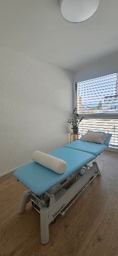 Physiotherapists
