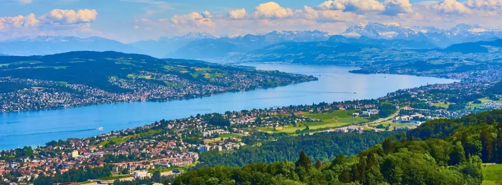 VON POLL REAL ESTATE Zürichsee Platinküste — Immobilienmakler in Thalwil (2)