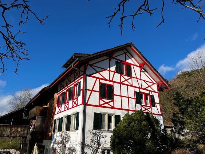 Maler Menegol Rüti ZH