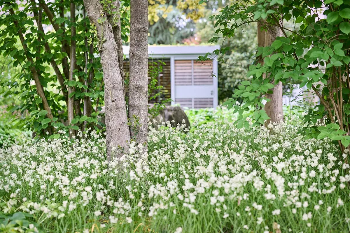 Gartenbau Buchter Gärten GmbH — Gärtner in Affoltern am Albis (Bild 2)
