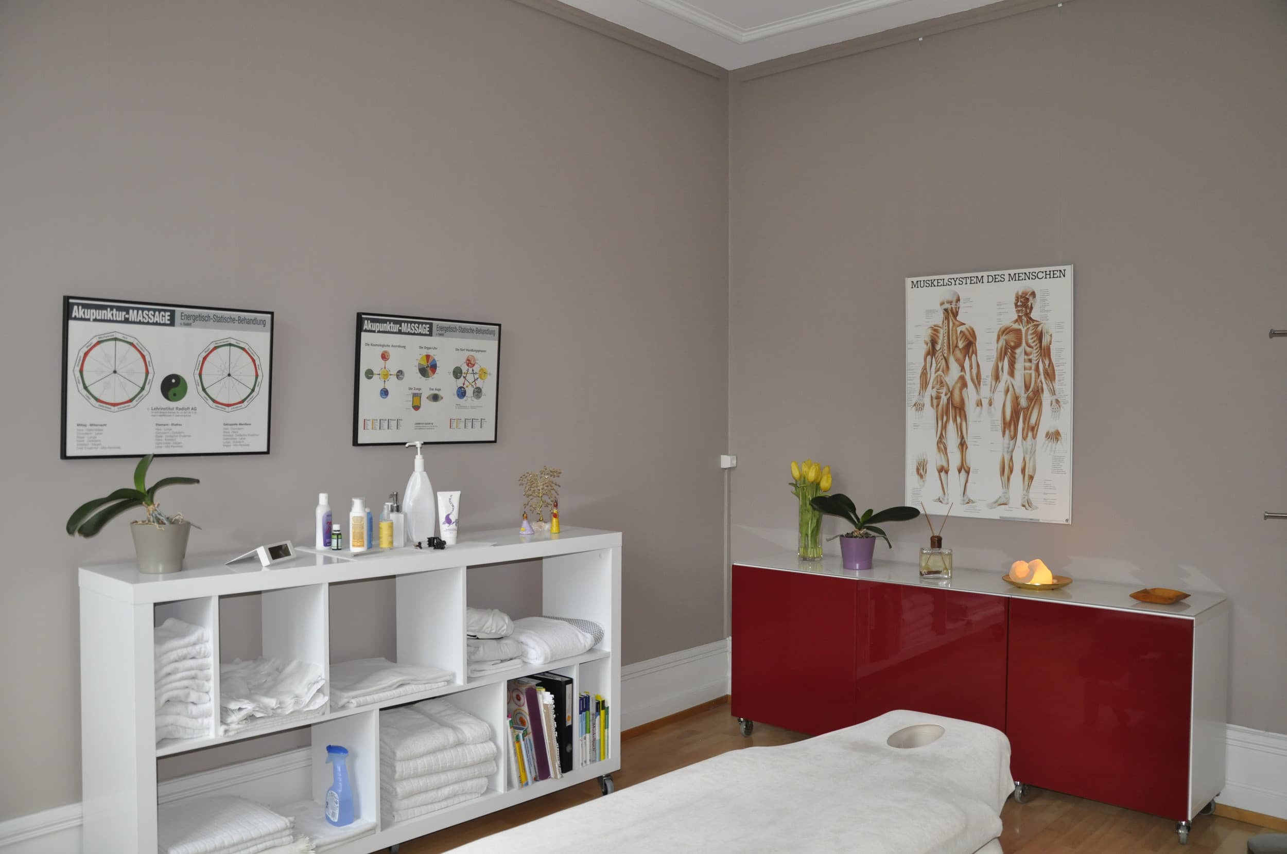 Sutter Mireya Medizinische Massage Zürich — Massage in Zürich (Bild 2)