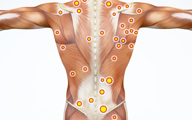 Naturpraxis Gübeli — Massage in Zürich