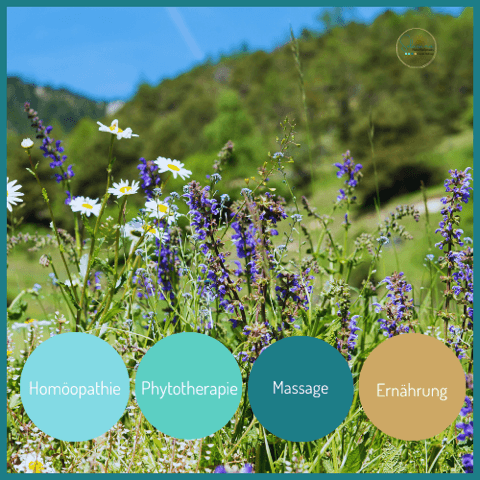 Sulaisana Naturheilpraxis klassische Homöopathie Massage Ernährungsberatung Claudia Höllriegl Zürich — Naturheilpraktiker in Zürich