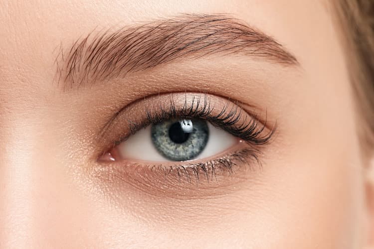 Evelyns Cosmetic Studio — Kosmetikstudio in Zürich