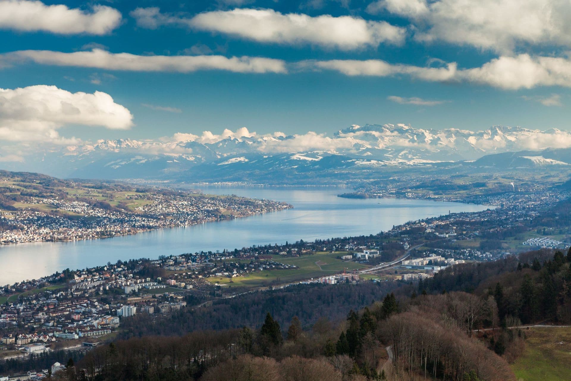 Baumgartner Immobilien AG — Immobilienmakler in Horgen