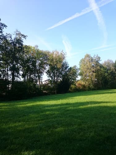 Bildweiher Garage AG