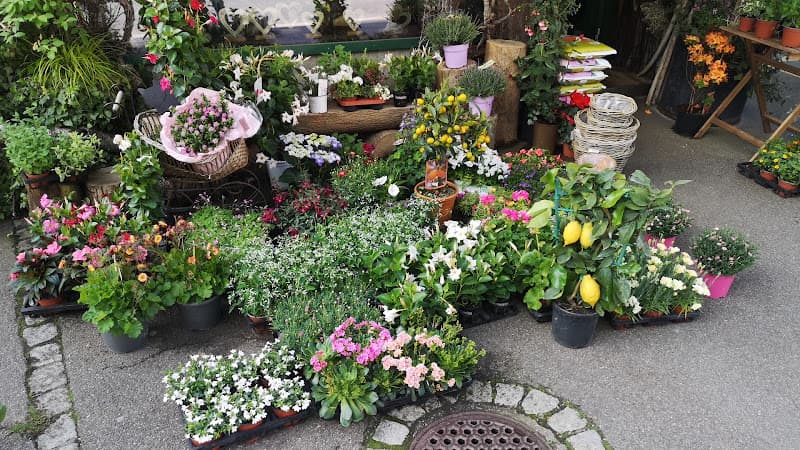 Blumen Irène