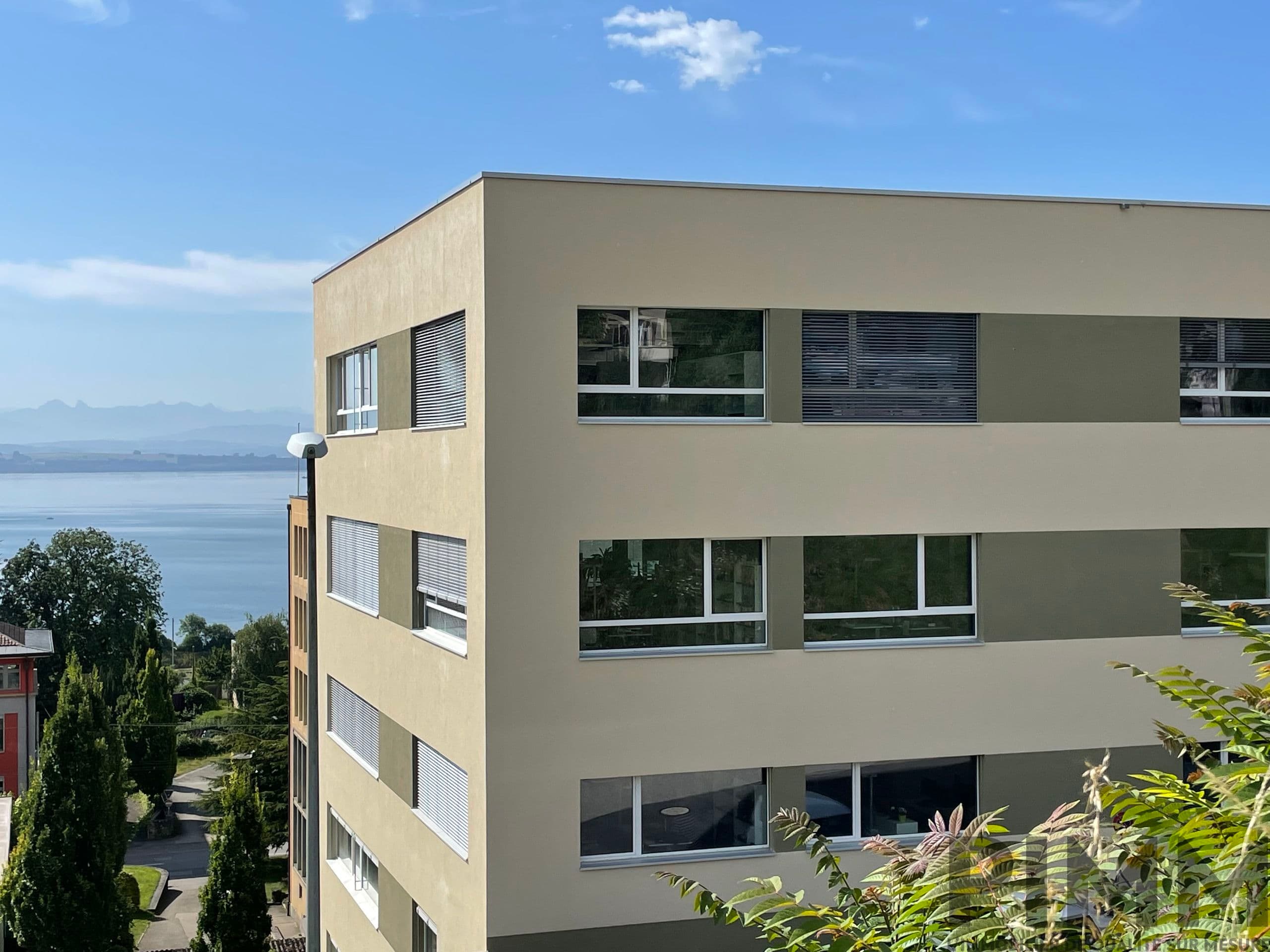 Real Estate Developers