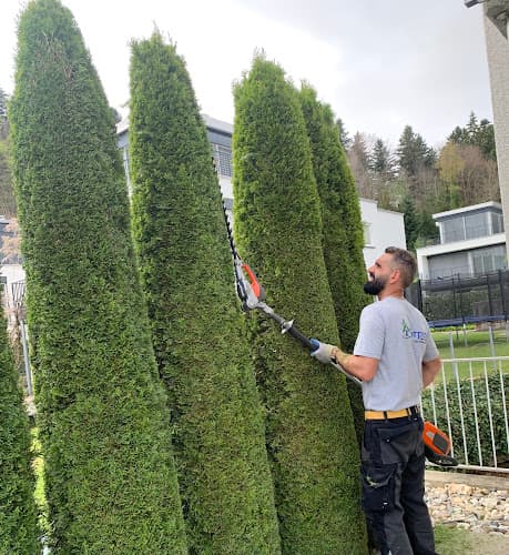 Terpuni GmbH - Hauswartungen & Garten Unterhalt