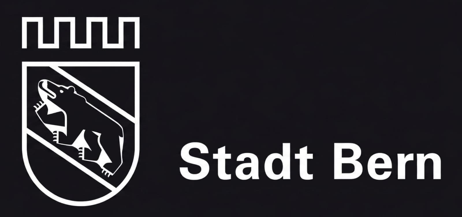 Studio Foto BOSS Bern | Professioneller Marketing & Corporate Fotograf / Image-Film Produzent — Fotograf in Ittigen (3)