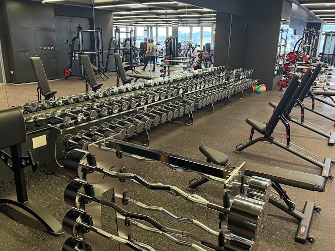 MaxxFitness