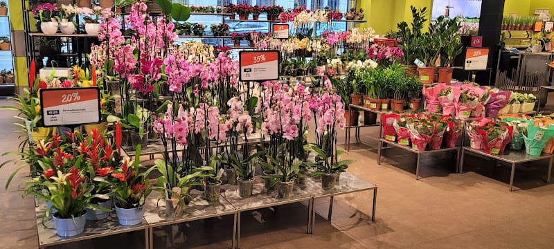 Migros Florissimo