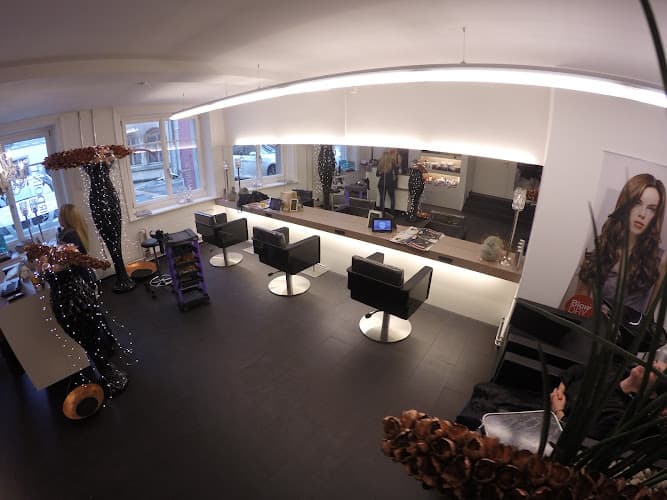 Hairpoint Zehnder
