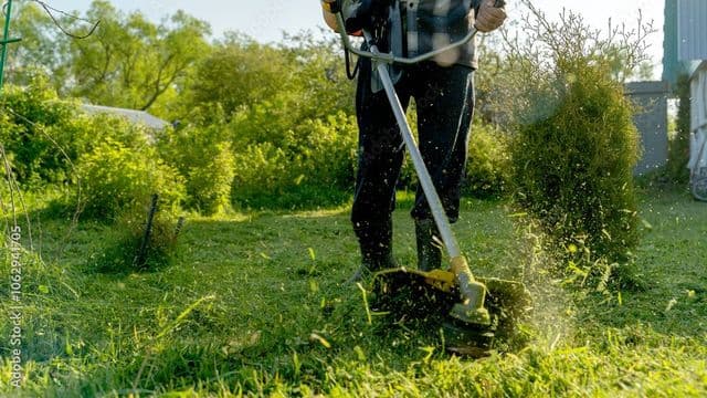 Gartenbildung AG — Gärtner in Dietlikon (Bild 2)