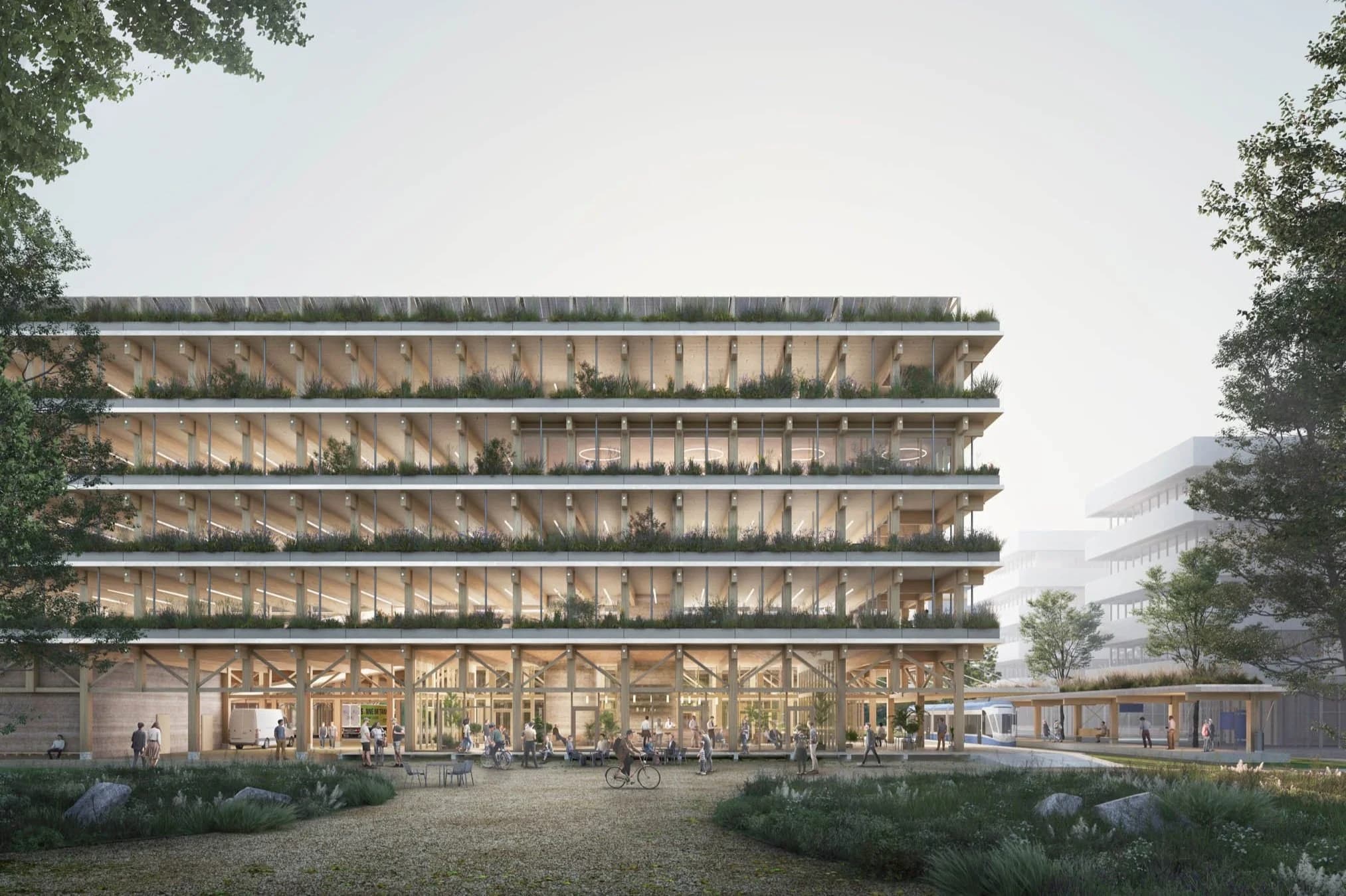 Cosmos Design GmbH — Gärtner in Zürich (Bild 3)