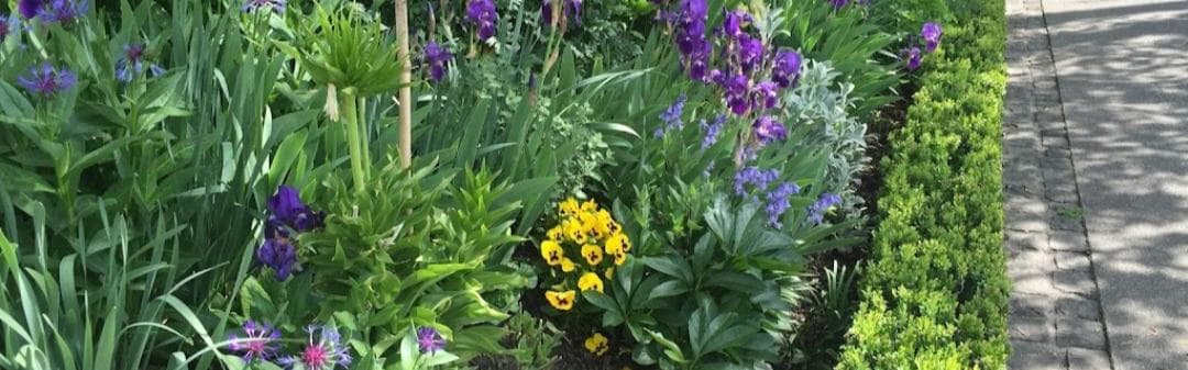 Müller Gartenpflege/Hauswartungen GmbH — Gärtner in Zollikon