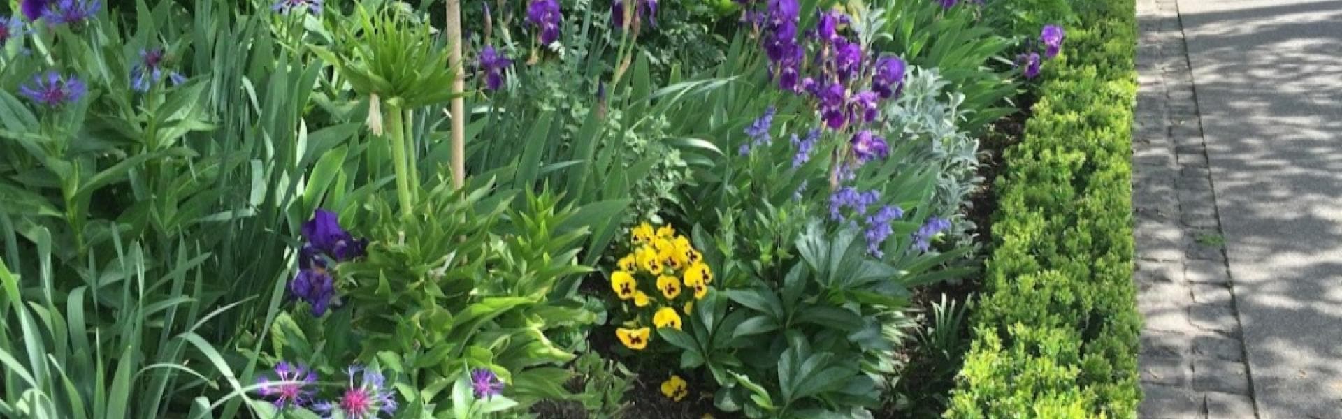 Müller Gartenpflege/Hauswartungen GmbH — Gärtner in Zollikon (Bild 3)