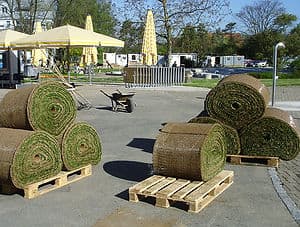 Ungricht A. Söhne Gartenbau AG — Gärtner in Dietikon (Bild 2)