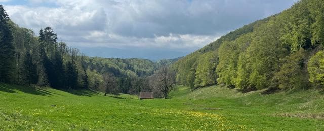 EspaceSuisse — Unternehmensberatung in Bern