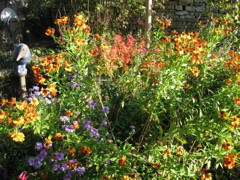 Graf Gartenbau Planung und Beratung — Gärtner in Bolligen (Bild 2)