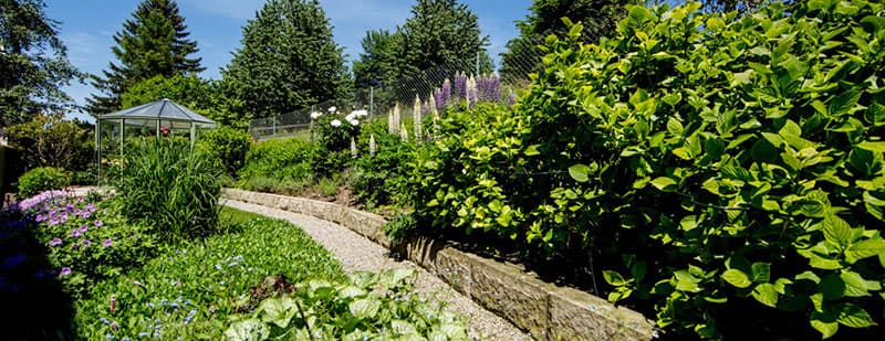 Staub J. AG Gartenbau — Gärtner in Zürich (Bild 2)