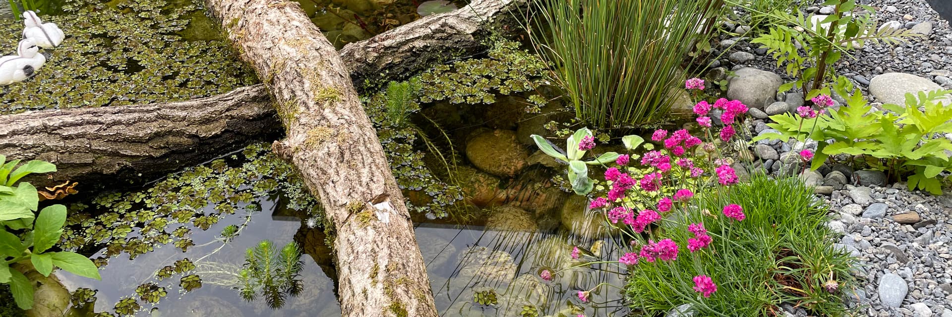 Nyffenegger Gartenbau AG — Gärtner in Köniz (Bild 2)