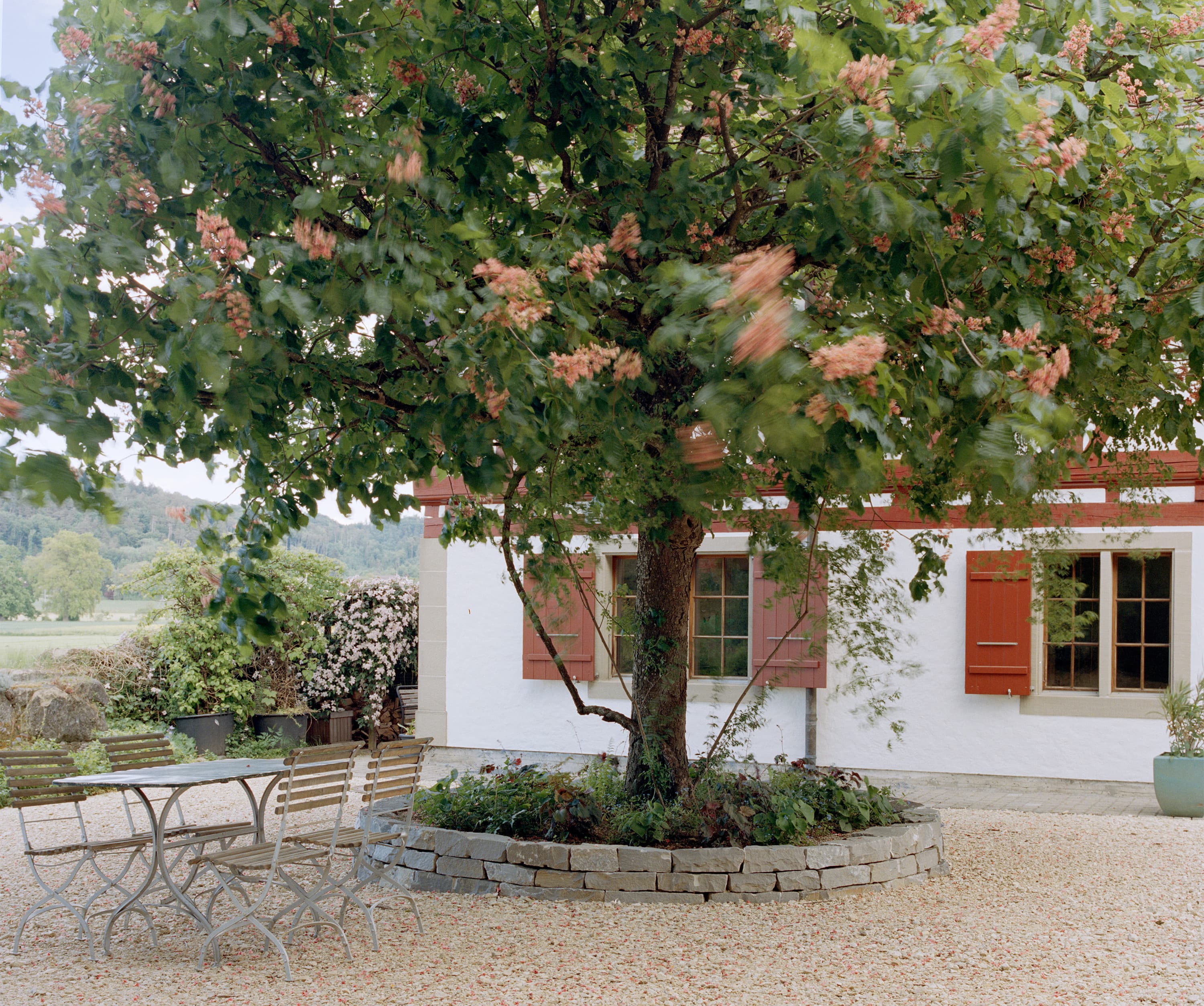 Ruppenthal-Gartenbau — Gärtner in Bern
