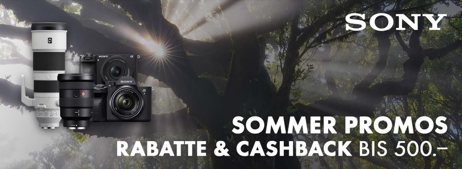 Photo Video Zumstein AG — Geschaeft in Bern (2)
