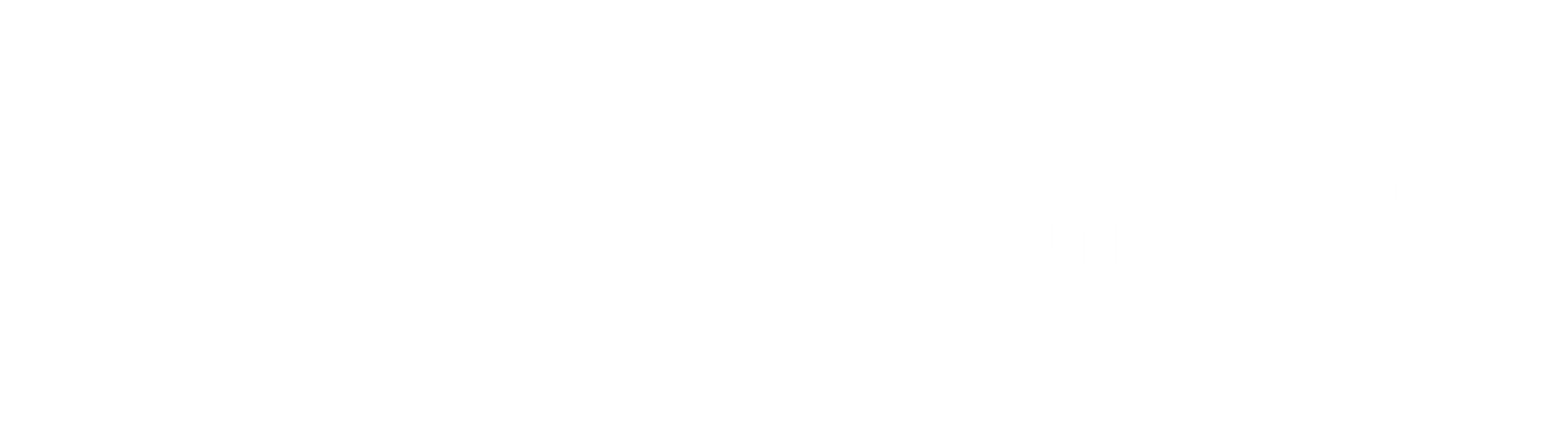 Steinhof Immoservice GmbH — Immobilienverwaltung in Zürich (Bild 2)