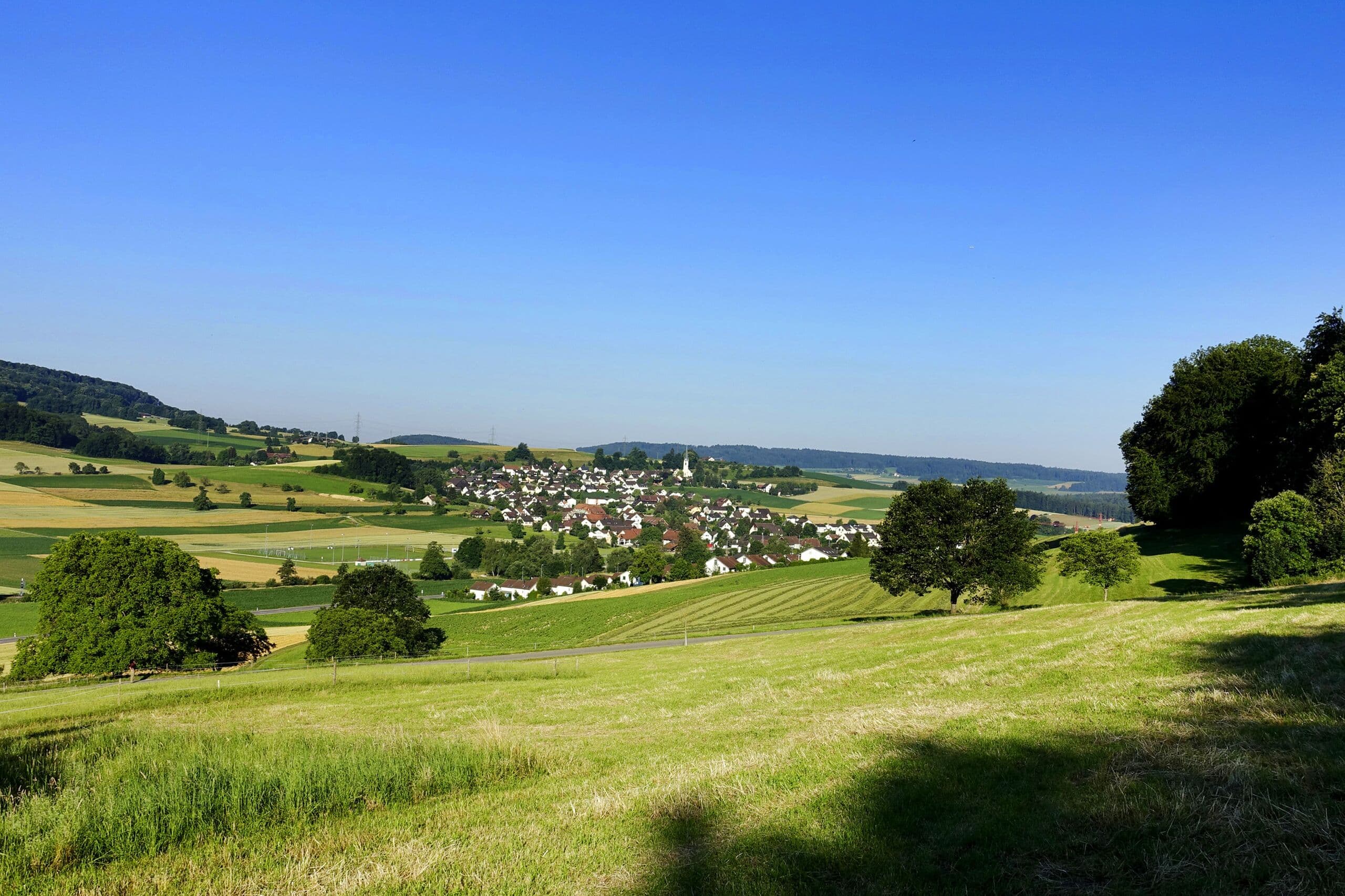 Stutz & Partner GmbH — Immobilienverwaltung in Oberweningen (Bild 3)