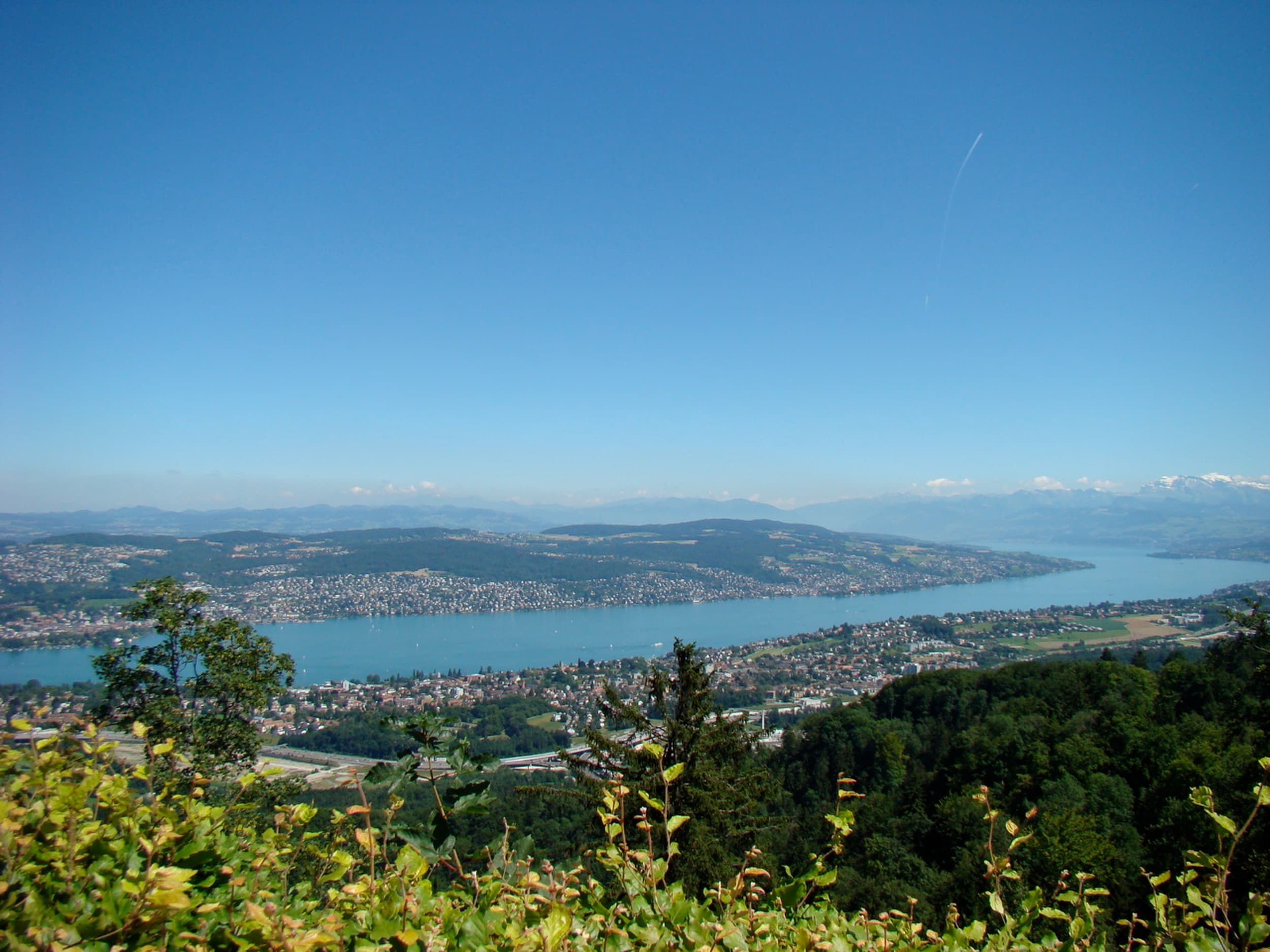 Haupt Immobilien AG — Immobilienverwaltung in Zollikon