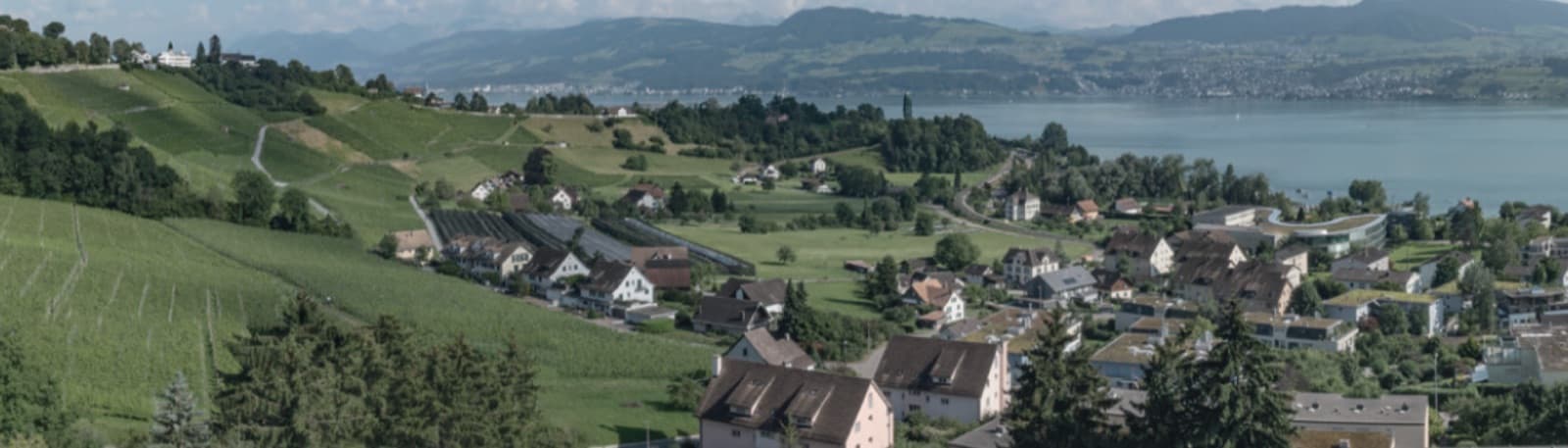 ActivaSwiss AG — Immobilienmakler in Küsnacht (2)