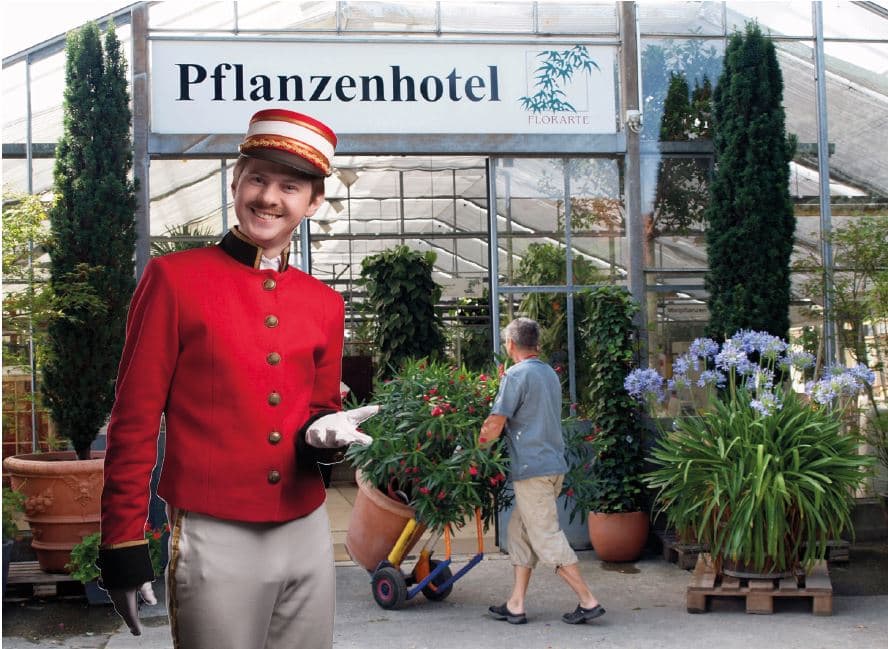 Gärtnerei Schmid | Florarte Pflanzenhotel AG — Gärtner in Kehrsatz
