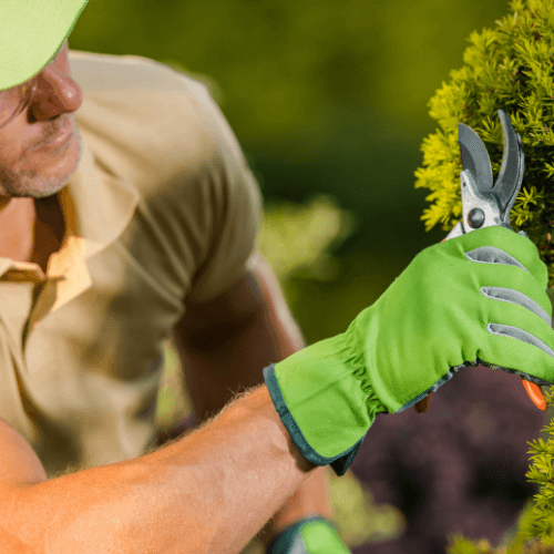Lynora AG, Gartenbau und Gartenunterhalt — Gärtner in Buchs ZH