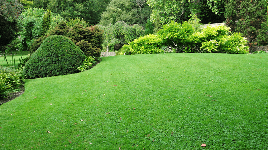 Müller Gartengestaltung GmbH — Gärtner in Dielsdorf