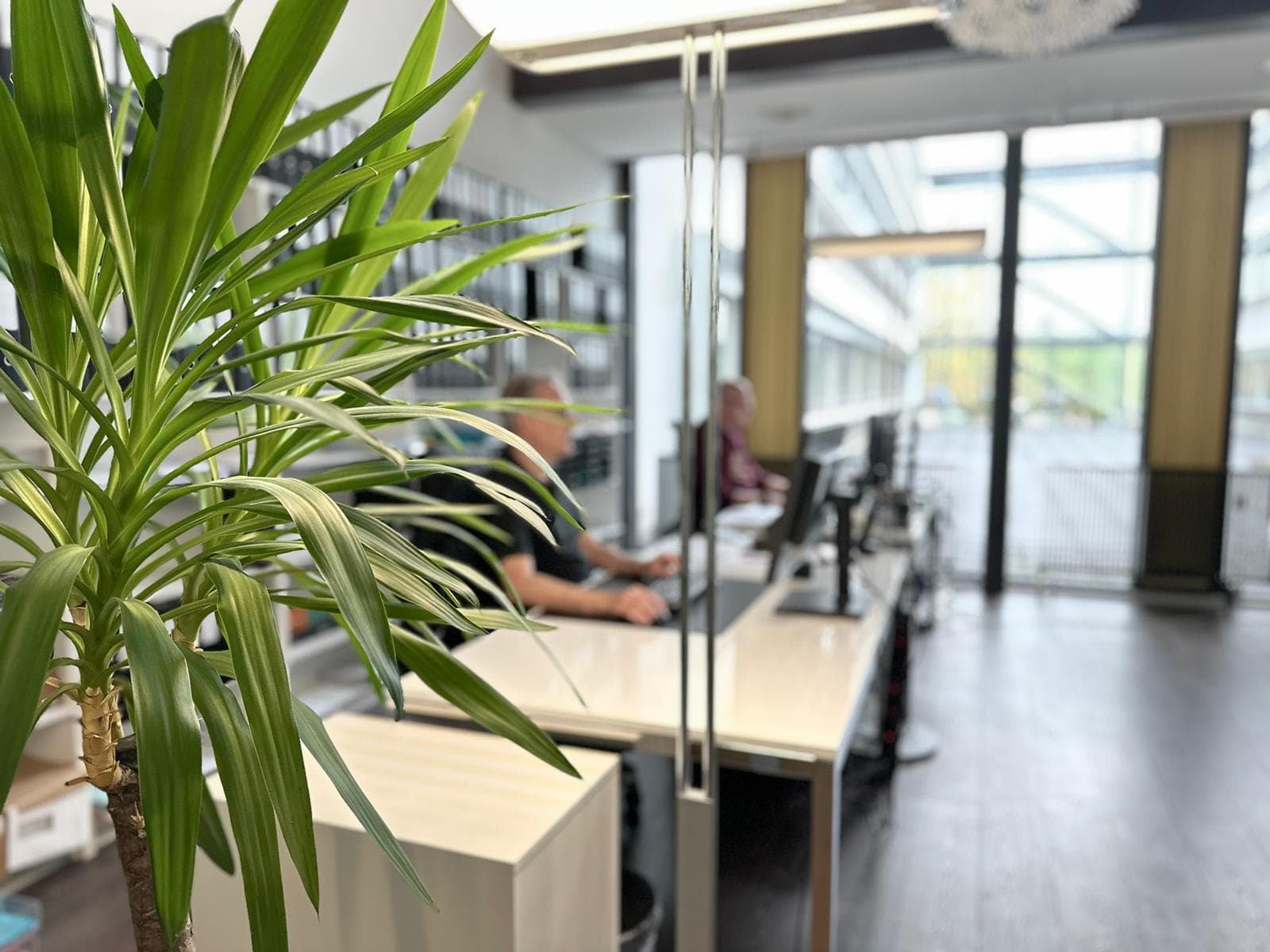 Immotega Property Management AG — Immobilienmakler in Münchenbuchsee (Bild 2)
