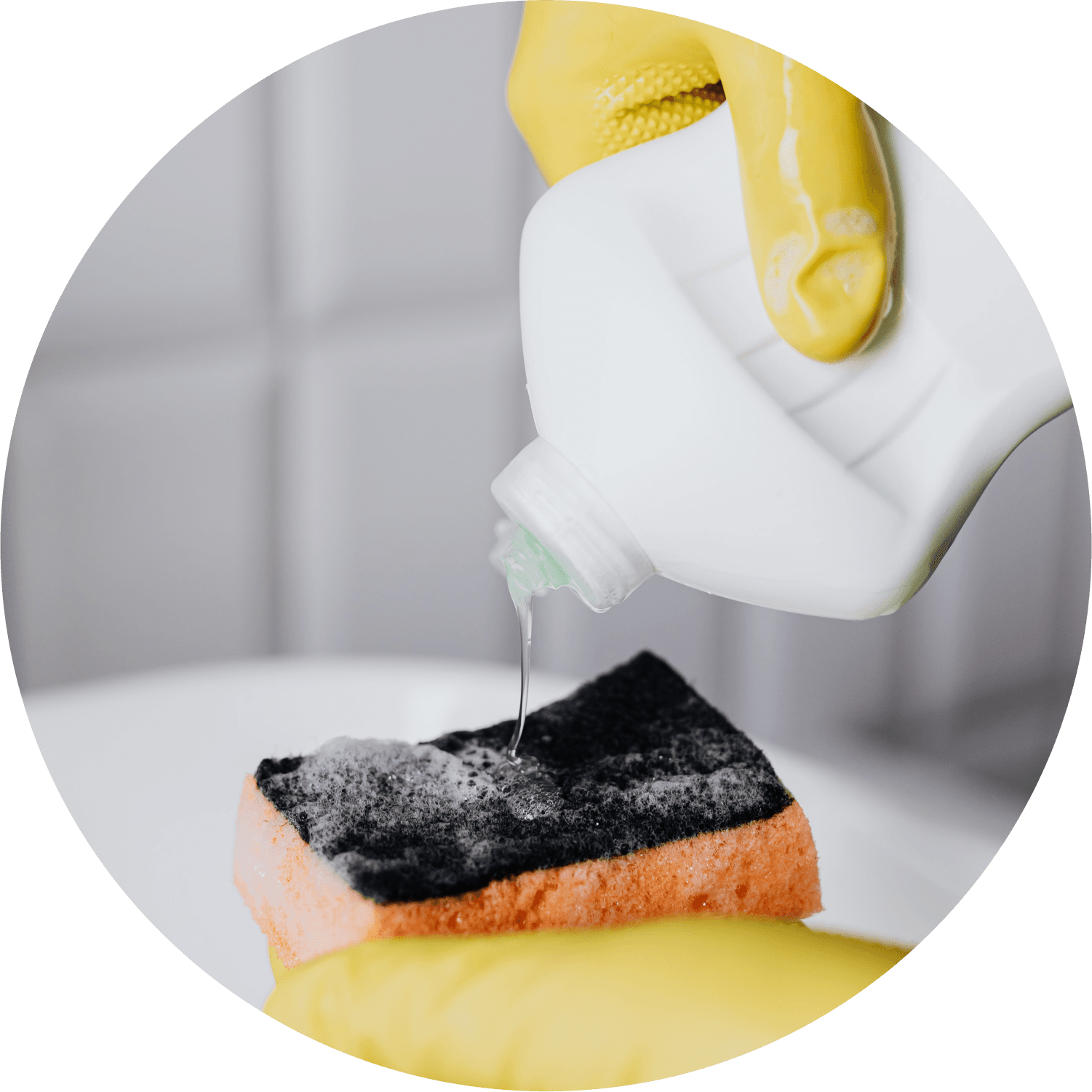 Cleaning companies