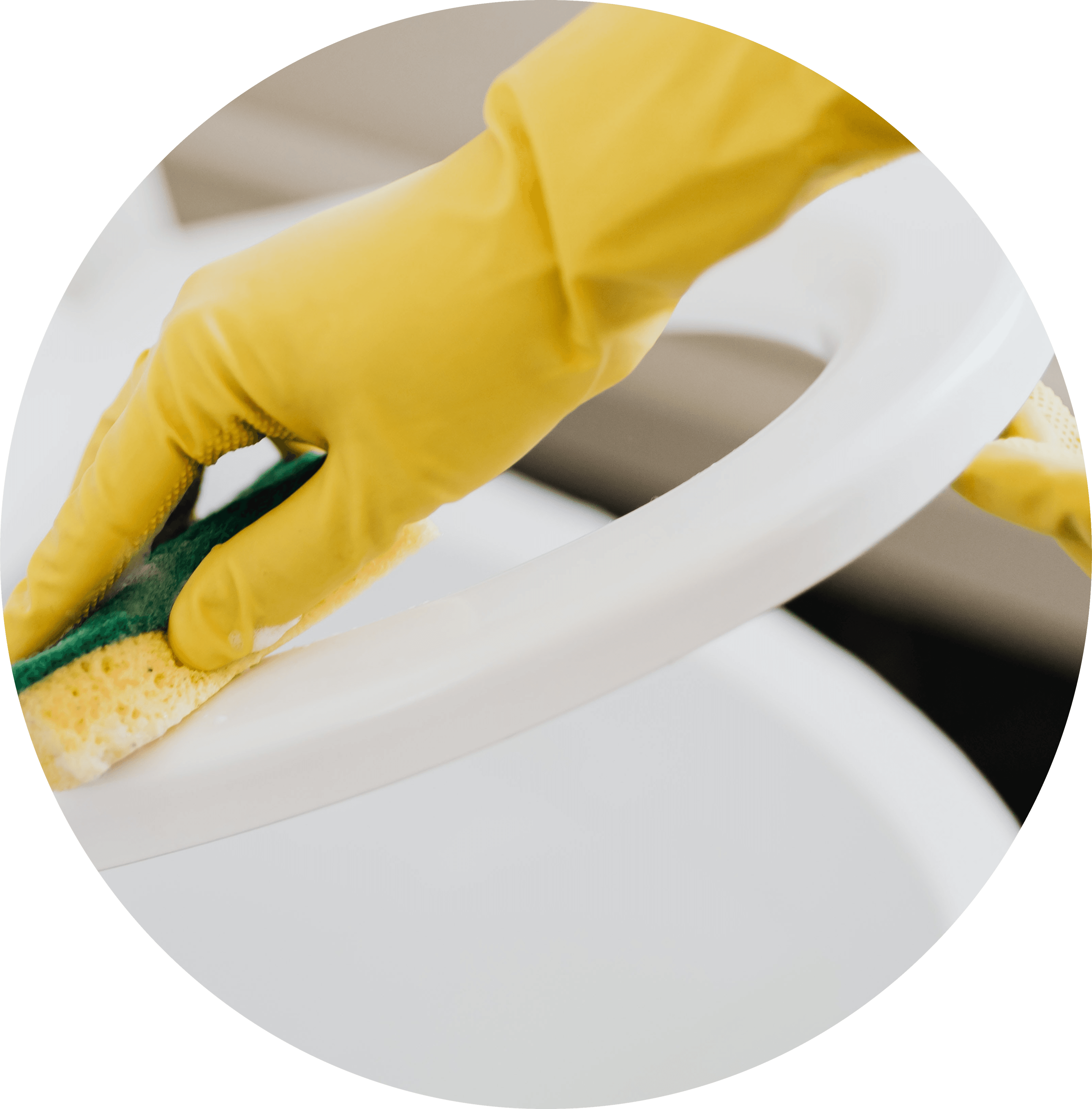 Fabspeed Cleaning Services Zurich — Reinigungsfirma in Adliswil (Bild 3)
